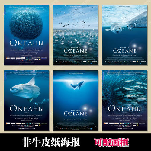 缅因大学成绩单电子图